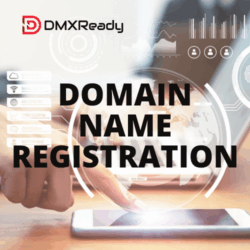 Domain Registration Box